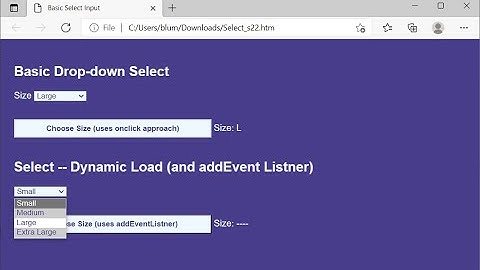 HTML CSS JavaScript Demo: Select Option