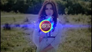 Rokiczanka - W moim ogródeczku (Disco Polo Remix)