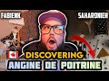 DISCOVERING ANGINE DE POITRINE Fabienk Sahardnieh mp3