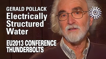 Gerald Pollack: Electrically Structured Water | EU2013