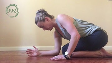 Thoracic Rotation in Modified Quadruped