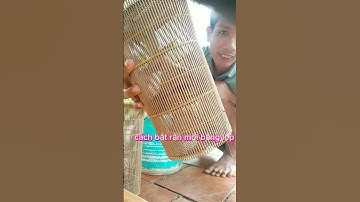 cách bắt rắn mối lạ nhất miền tây #viral #shots