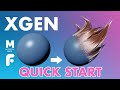 Introduction to XGen - Quick Start Guide