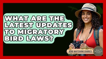 What Are The Latest Updates To Migratory Bird Laws? - Bird Watching Diaries