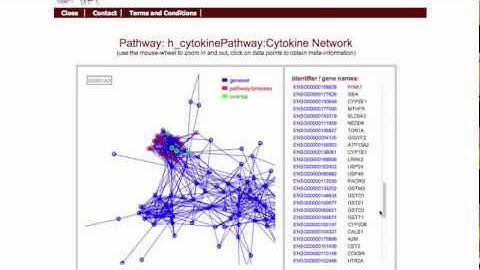EnrichNet - Network-based gene set enrichment analysis