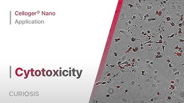 Celloger® Nano Application I Cytotoxicity