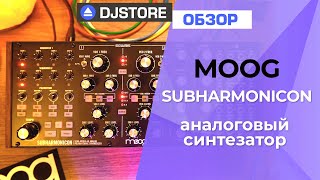 Moog Subharmonicon. Примеры звучания. Без разговоров / No Talking