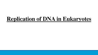DNA Replication in Eukaryotes I Presentation I @SlideShare_PPT