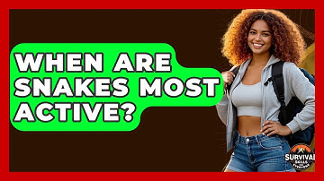 When Are Snakes Most Active? - Survival Skills for Everyone