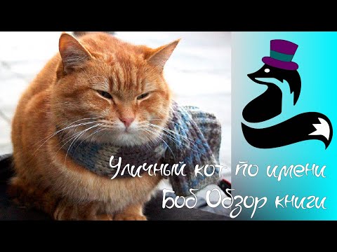 Уличный кот по имени Боб | Обзор книги by Кристофер Миллн