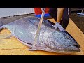 Worlds sharpest tuna knifeamazing giant bluefin tuna cutting master   sashimi