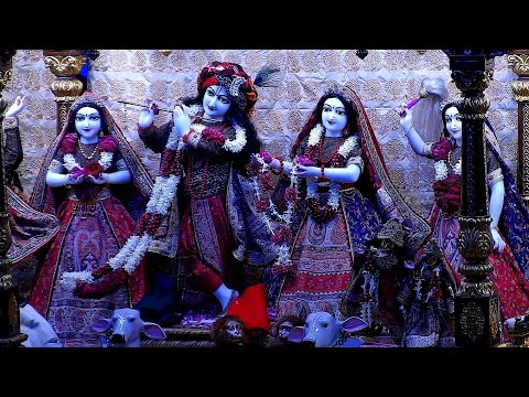 18th May. '24 | Mangal Aarti Darshan | Sri Sri Radha Gopinath Temple | ISKCON Chowpatty Mumbai.