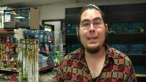 When Do Snakes Hibernate?