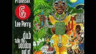 Mad Professor - Mr Dubfire