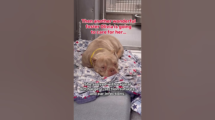 From Broken to Safe: April’s Rescue Mission 💔➡️💖 #LegacyOfLove805