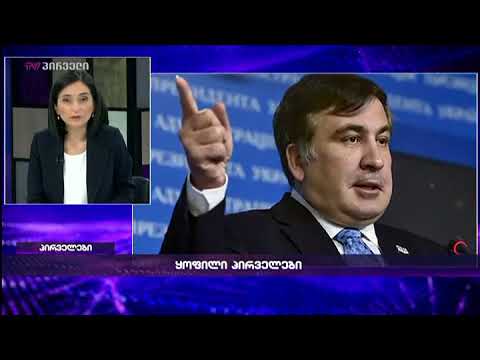 ნინო ჟიჟილაშვილი მიხეილ სააკაშვილისთვის წაყენებული ბრალდებებით