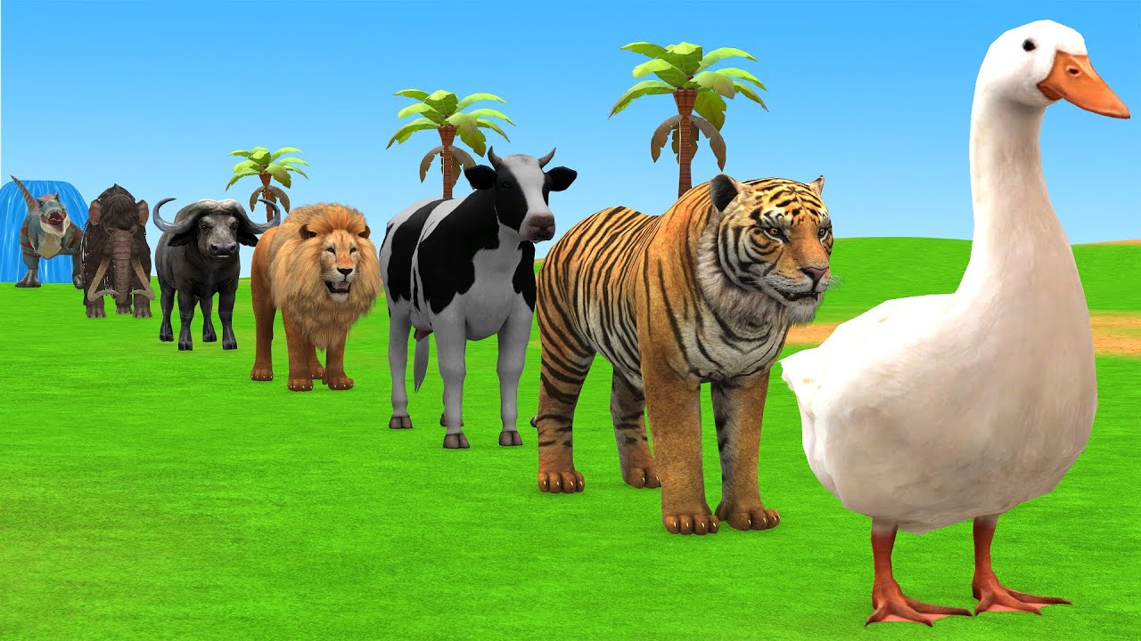 Long Slide Game with Cow Elephant Gorilla Hippopotamus Tiger 3d Animal Game Funny 3d Animals