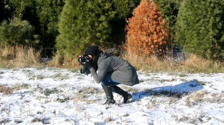 Dawn Colson Photography Promo Promo