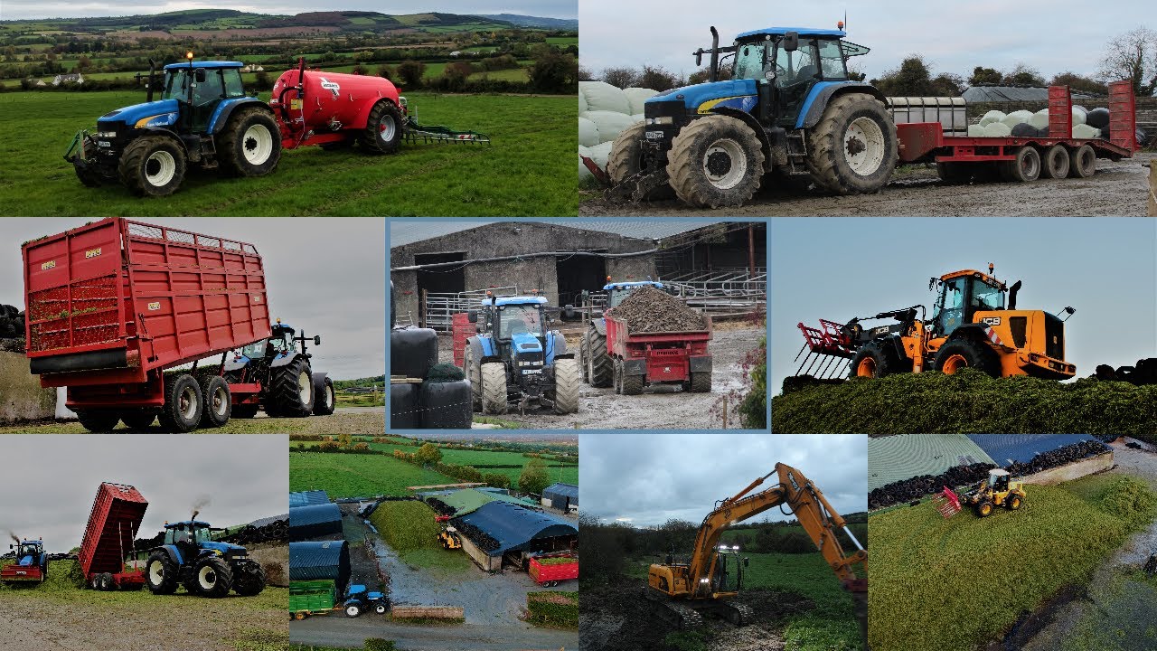 A Year With Daly Plant & Agri