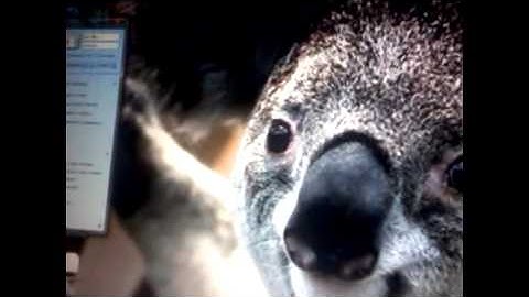 How To Mod CoD5:WaW Zombies With a USB Stick