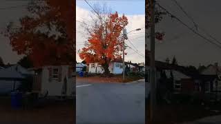 الوان الاشجار في فصل الخريف في كندا #قناة_أم_أكرم
