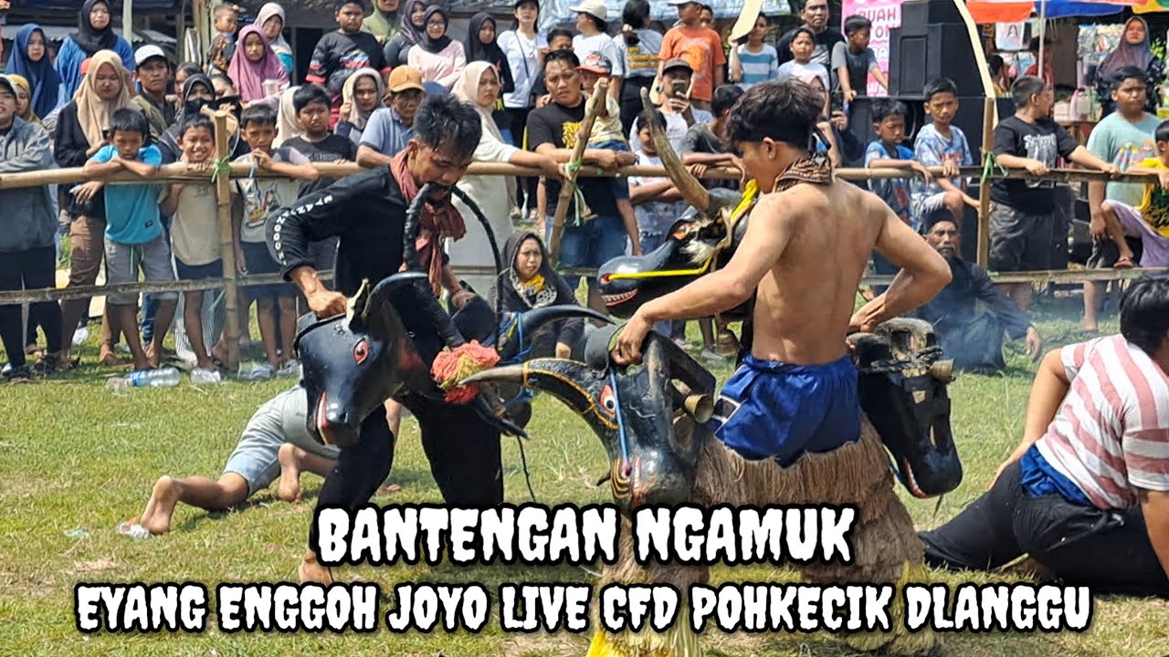 BANTENGAN ‼️ EYANG ENGGOH JOYO LIVE POHKECIK DLANGGU MOJOKERTO