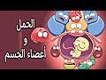 ماذا يحدث مع اعضاء الجسم عند الحمل 