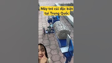 Máy chẻ củi của Trung Quốc