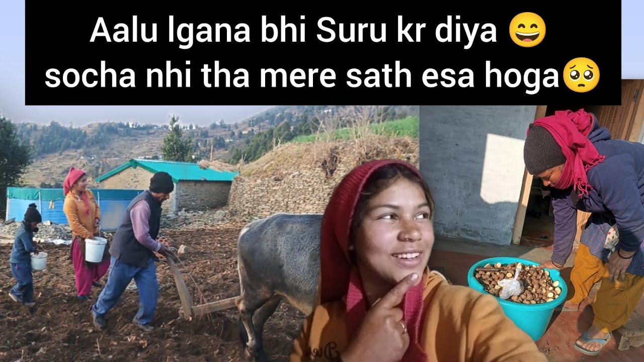 Aalu lgane ka kam bhi Suru ho gya 🙂Aaj k din esa hoga mere saath socha nhi tha 🥺#phadilifestyle