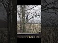 Is it worth hiring a professional tree trimmer In Monroeville PA?