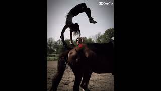 Part 2 () Mission:failed #equestrianjourney #horse #horseenthusiast #fypシ #fypシ゚viral