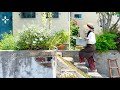 好きなものに囲まれて暮らす🌿夏の庭づくりと整える日常