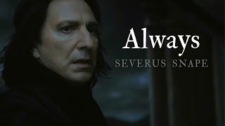 Severus Snape | Always | Another Love