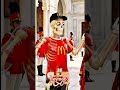 Osmanlı Devletinde burger açsaydın ne olurdu #reymo63 #agiragac #shortvideo