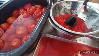 *2 IMPORTANT Things to Know When Thawing Frozen Tomatoes
