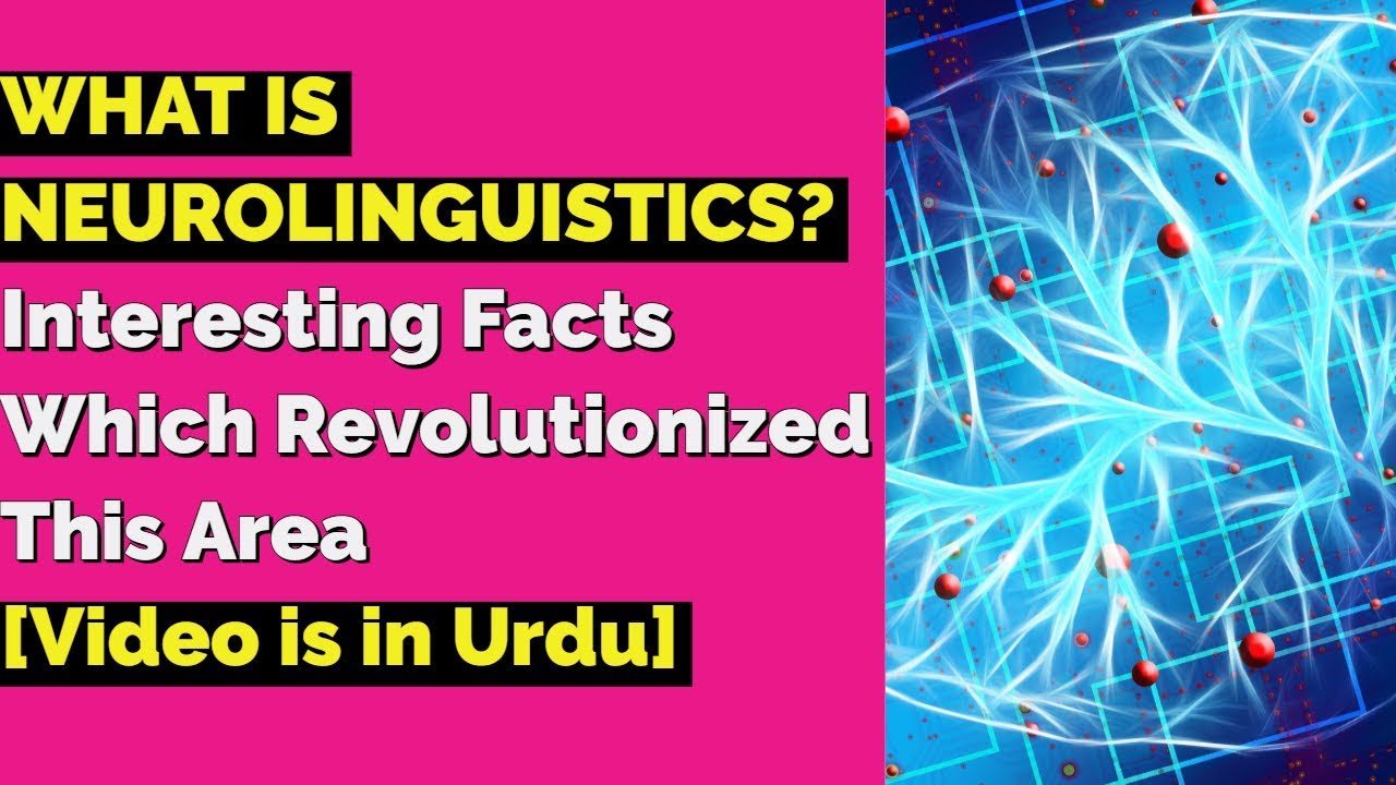 introduction to neurolinguistics interesting facts which revolutionized this area neurolinguistics