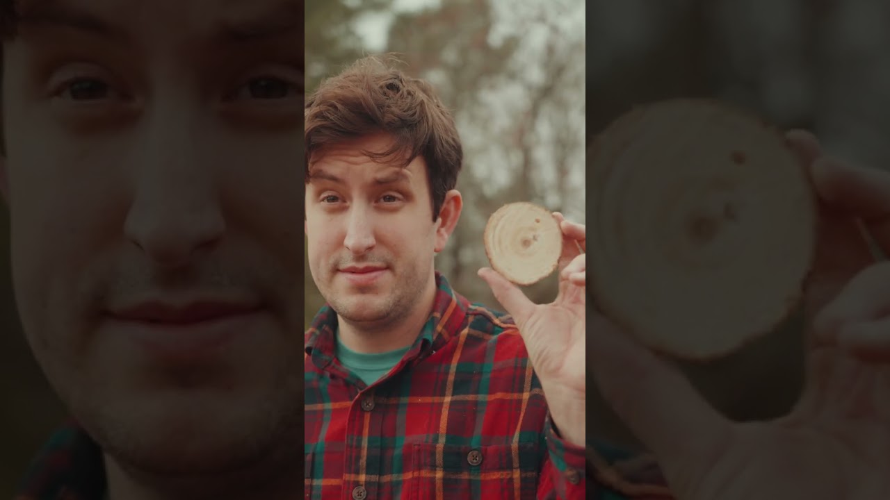 Taking down the Christmas tree is sad...and ANNOYING