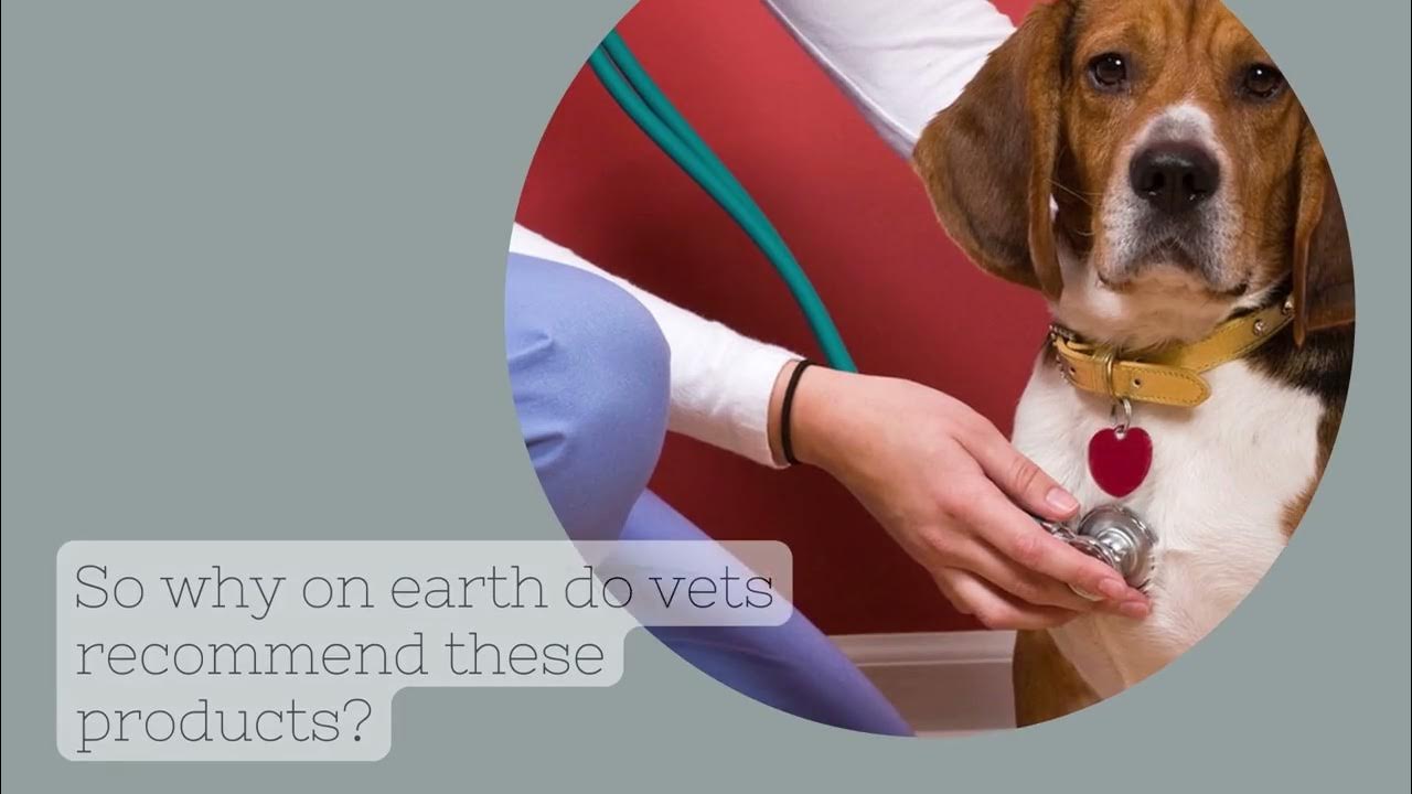 Why do vets Science Diet? YouTube