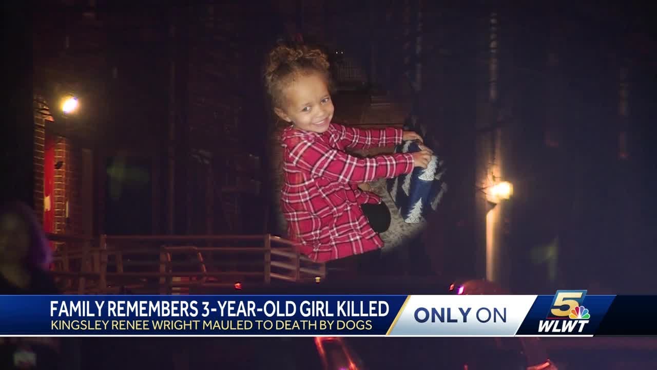 Three-year-old girl mauled to death by dogs, family says - YouTube