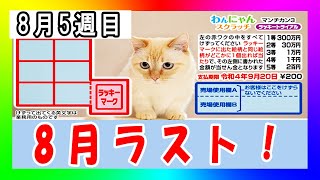 【毎週スクラッチ# 133】削り方間違いで複数当選！？ わんにゃんスクラッチ マンチカン3 ラッキートライアル【検証企画】