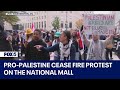 Pro-Palestine cease fire protest on the National Mall