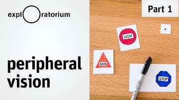 Test your peripheral vision and discover the outer limits of your eyes - Science Snacks activity