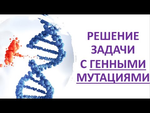 7.  Решение задачи с генными мутациями