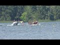 ★ Canadian Dragon Boat Championships 2013 Day 2 Race 75   Dragon Zone One West Open