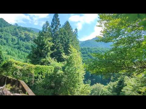 奥仙俣キャンプ場の美しさ
