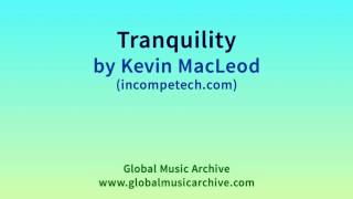 Tranquility by Kevin MacLeod 1 HOUR
