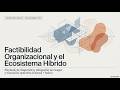 AUTOMATIZACIÓN Nº 44 - FACTIBILIDAD ORGANIZACIONAL (CULTURA + ROLES) – 20%
