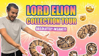 Celebrity @lordelion9312 CRAZY BALL PYTHON COLLECTION TOUR (2023 UPDATE) Wealth