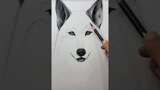 Hướng dẫn vẽ chó sói đơn giản- The easiest wolf drawing tutorial- Noci