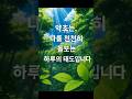 "약초, 나를 천천히 돌보는 하루"
